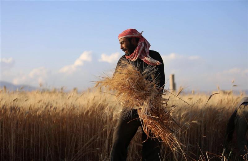 US look to Syria for ancient wisdom in nature