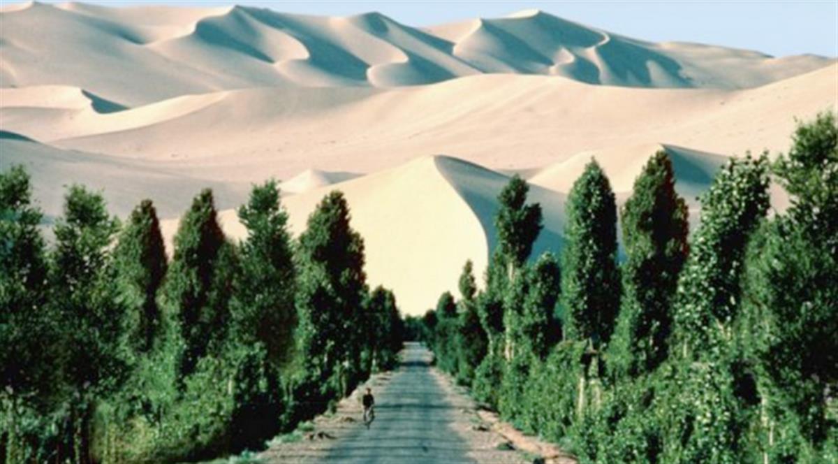 Growing a World Wonder - Great Green Wall