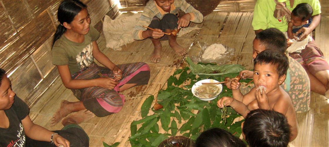 United Nations: Education critical to ensure future of forests, and reverse their destruction