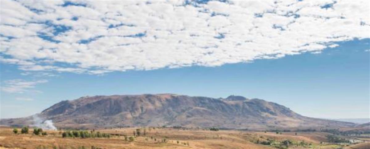 Featured Story: Birdsong returns to the hills of Bemolanga