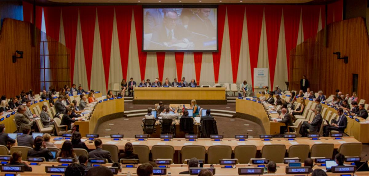 United Nations Economic and Social Council