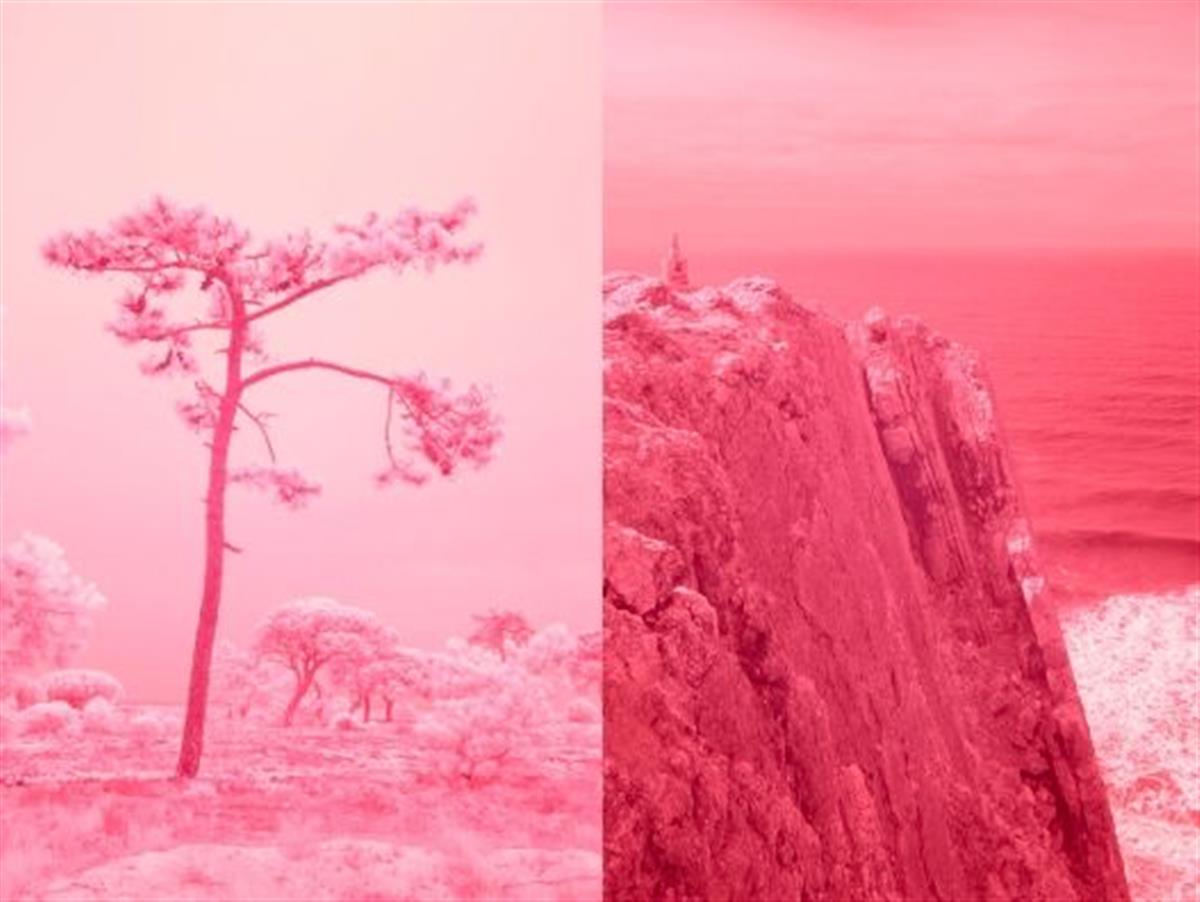 Artangel: Portugal joins Red Lines