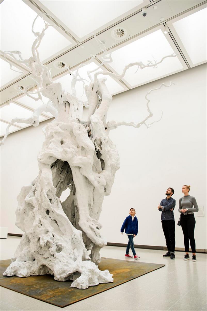 Among the Trees: A virtual tour | Hayward Gallery