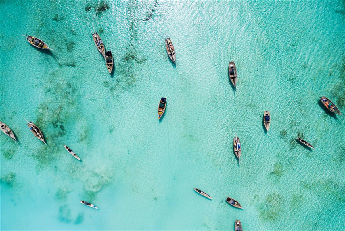 395 Million New Jobs by 2030 if Businesses Prioritize Nature, Says World Economic Forum
