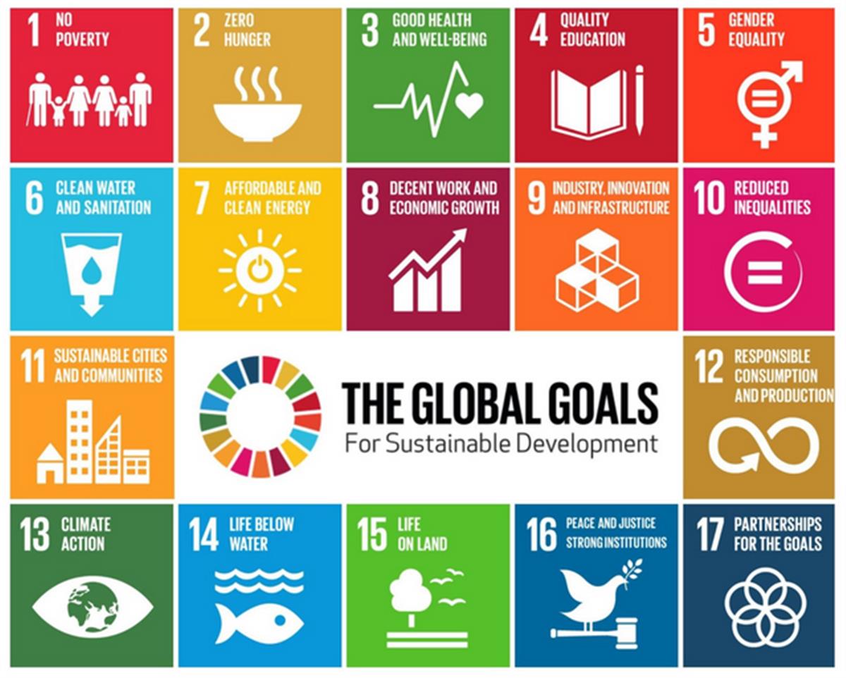 Project Everyone - The Sustainable Development Goals