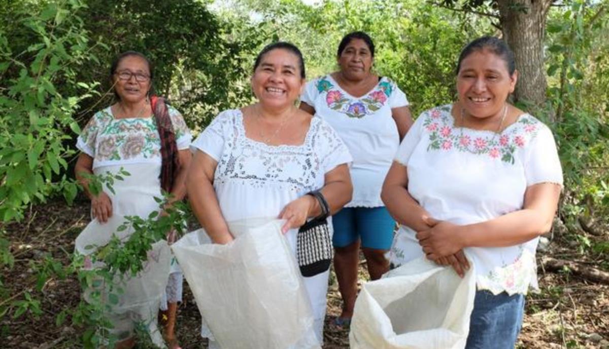 Mexico becomes first country to launch SDG sovereign bond