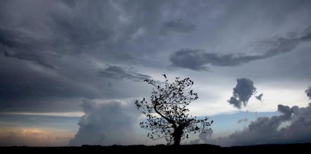 Geneva Solutions - Elise Buckle: ‘It’s time for a global reset to rebalance our relationship with nature’