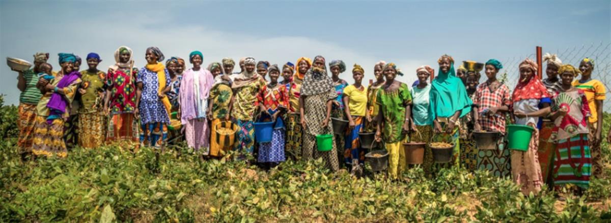 EIF and UNDP to strengthen cooperation for sustainable finance
