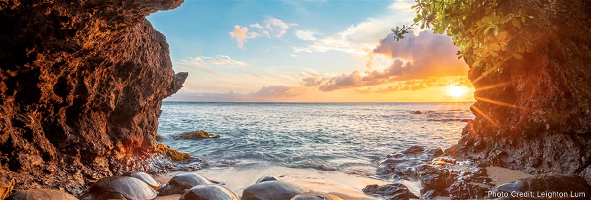 UN Biodiversity Summit Supports 2030 Agenda-aligned Post-2020 Framework