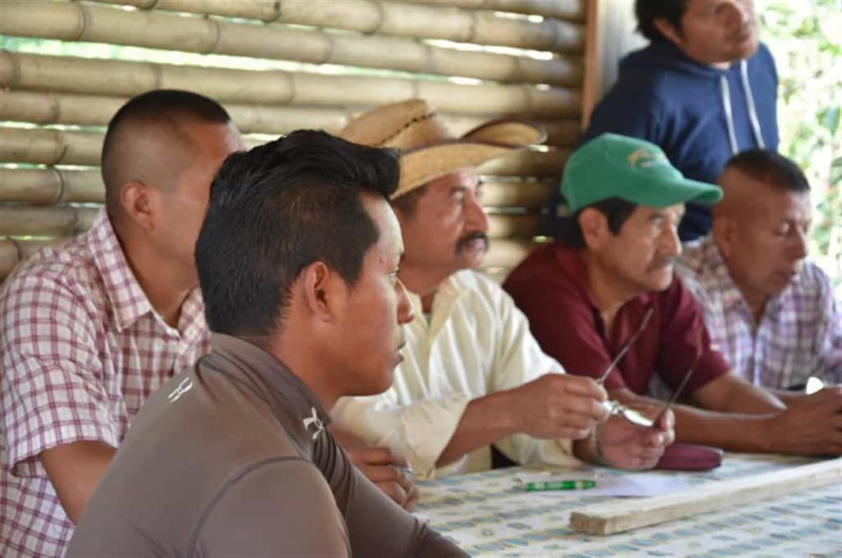 PassBlue: A Global Forest Treaty Is Needed Now