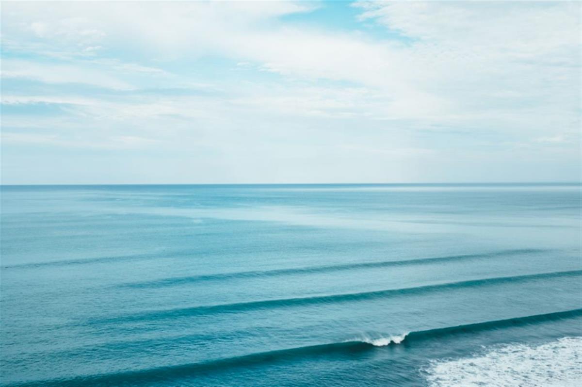 Restoring oceans could create 100,000 jobs and give £50bn boost to economy in UK