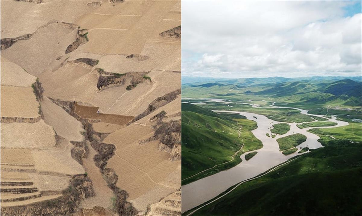‘Our biggest challenge? Lack of imagination’: the scientists turning the desert green