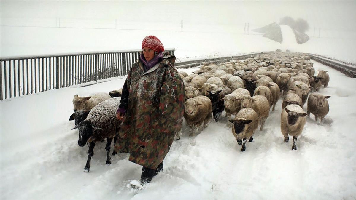 Hiver Nomade - Winter Nomads