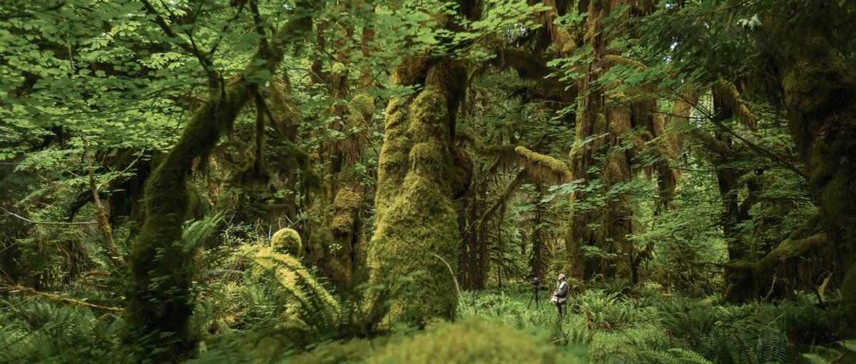 The fight for quiet in a world full of noise pollution
