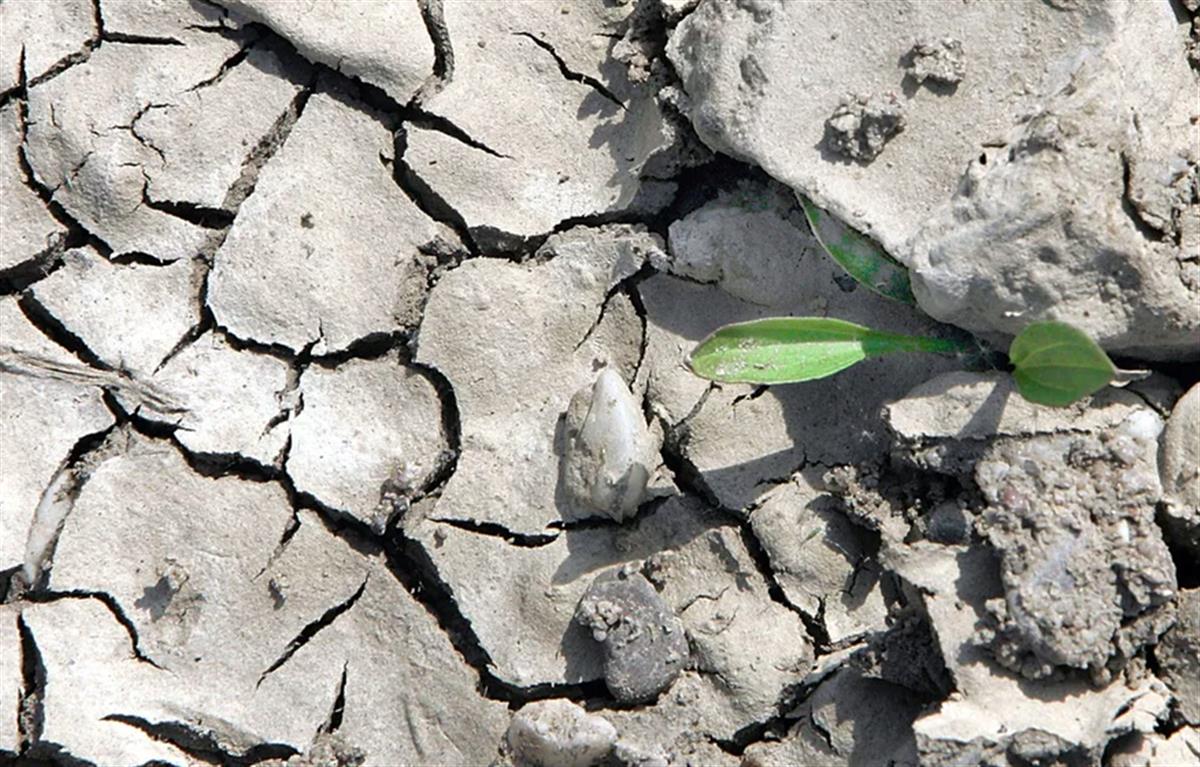 Banks urged to think green or face extinction
