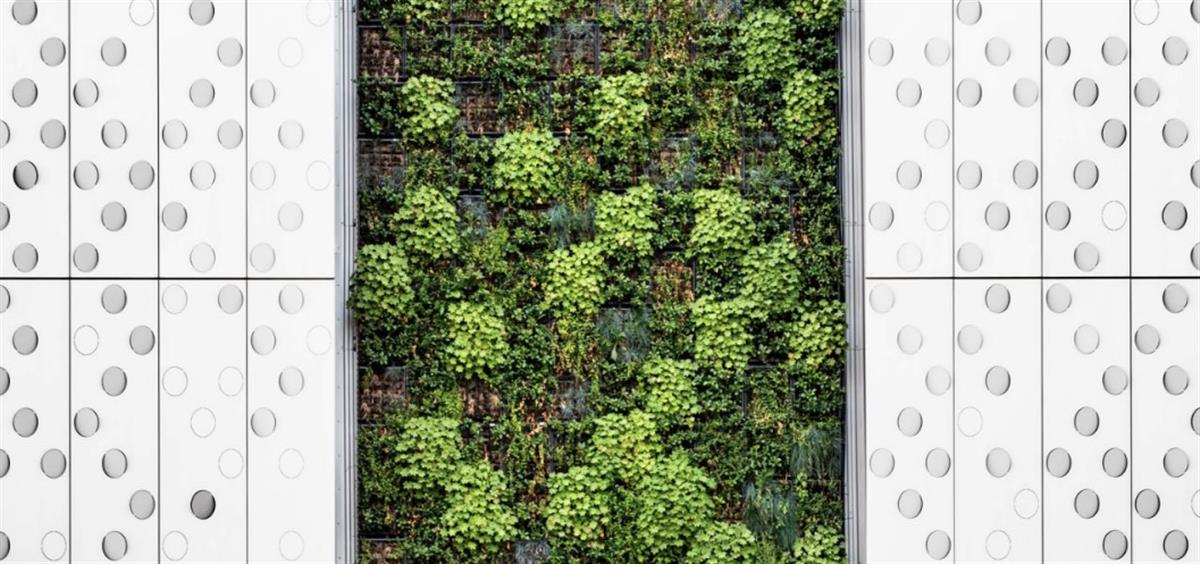 Madrid is building a 'green wall' made up of 75km of forests