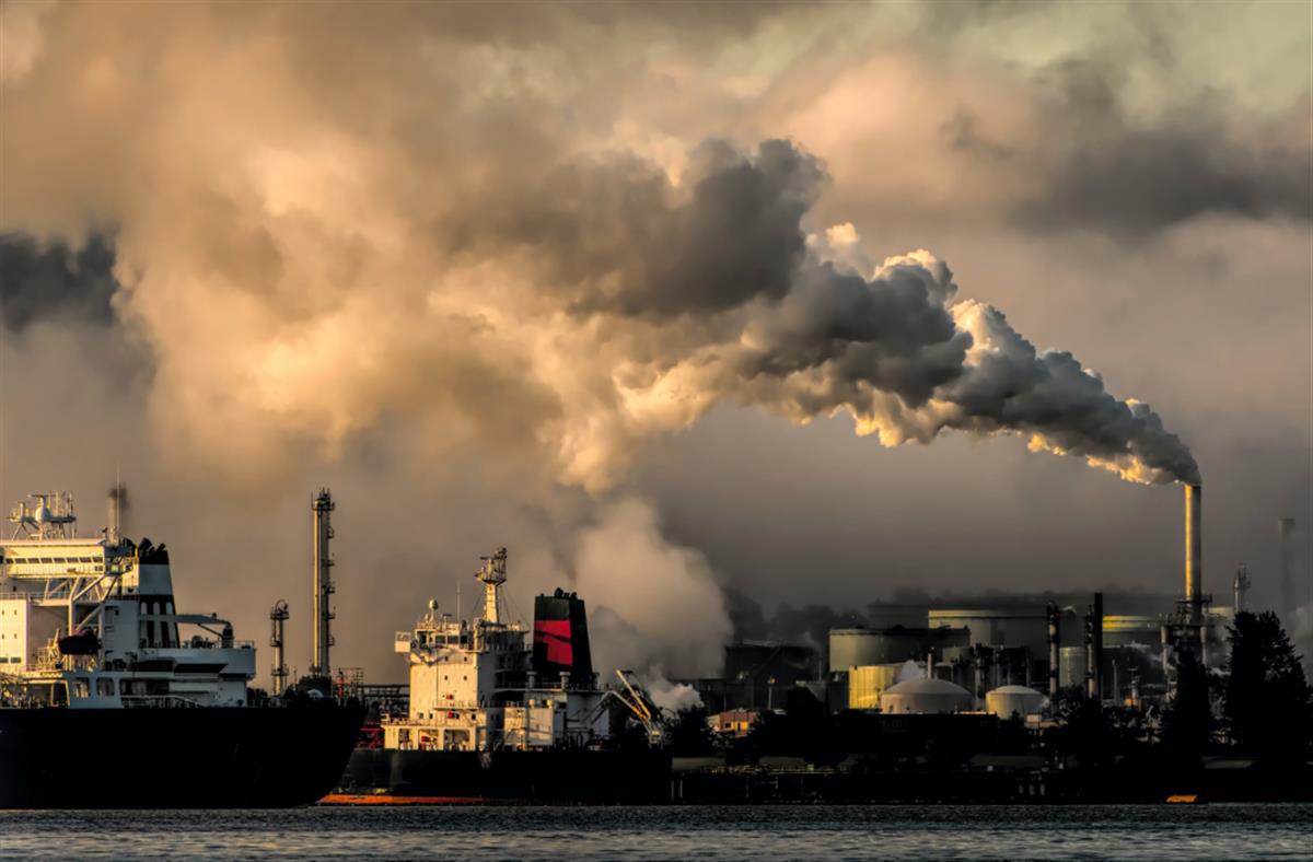 Environmental Justice Foundation: Taxpayers are funding planetary breakdown: Harmful subsidies must end