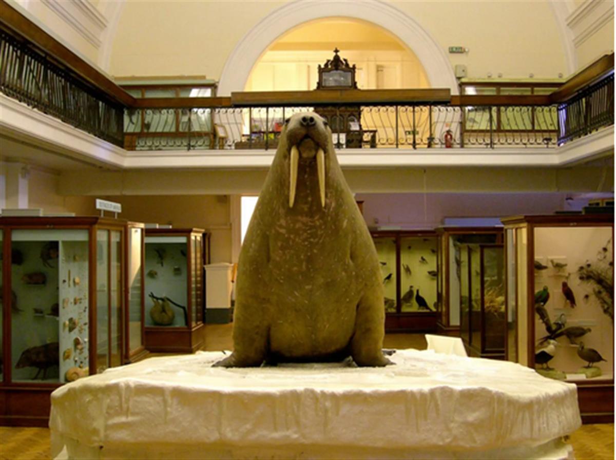 Museums must take action on climate change now—before it’s too late
