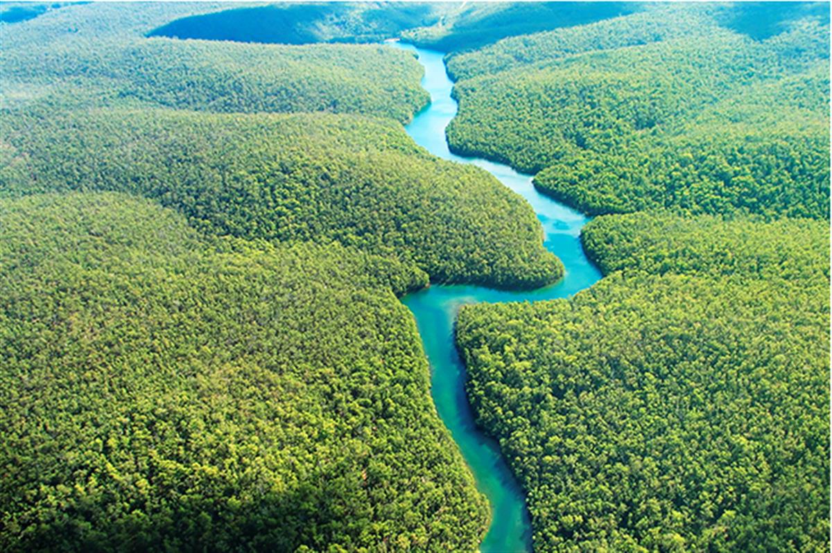 Conservation International: These ecosystems could determine our climate future: study