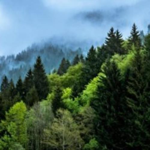 Climate Change and the Challenges to Human Security in the Global Order