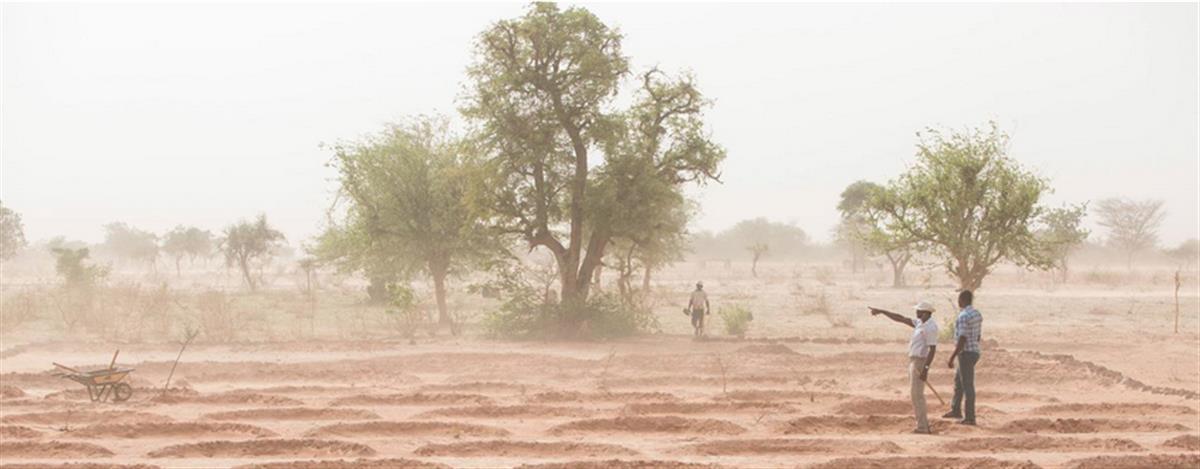 Bringing dry land in the Sahel back to life