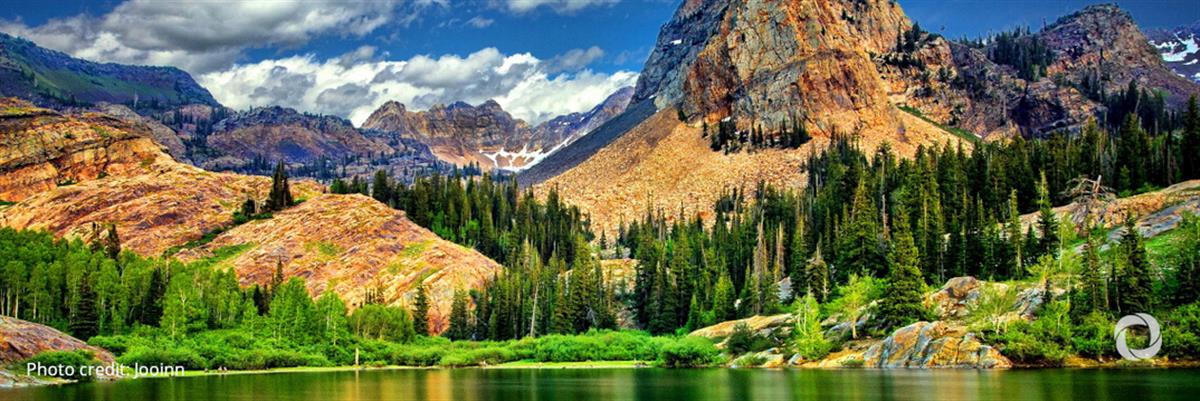 G20 leadership required to catalyze private capital inflow for nature-based solutions