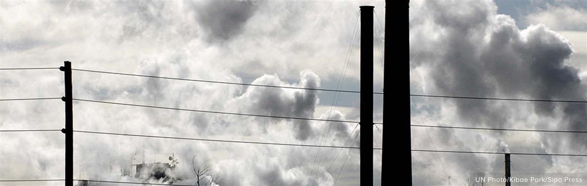 Expert Group to Build Accountability for Net Zero Pledges