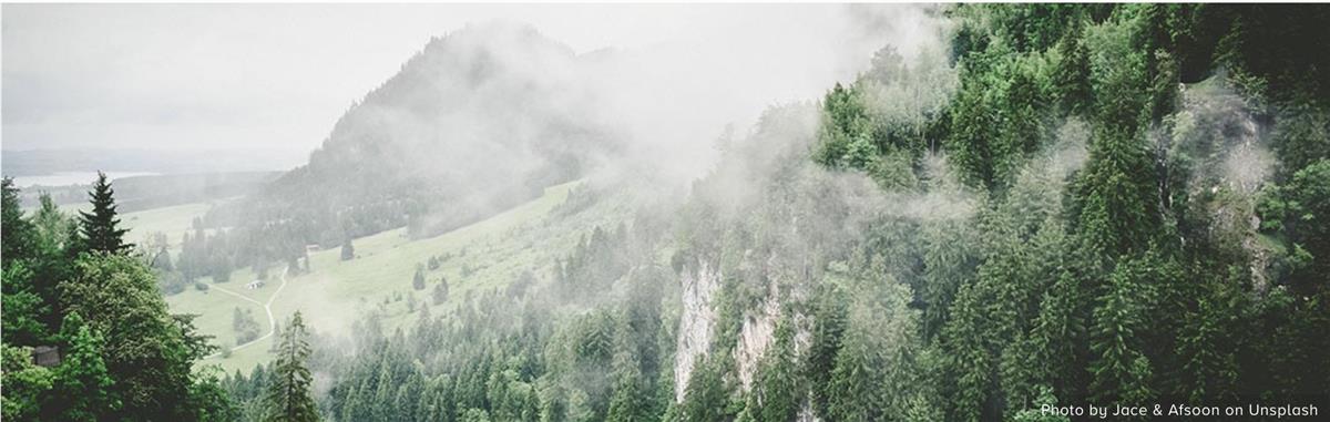 World Congress Urges Shared Responsibility Over Forests for Multiple SDGs