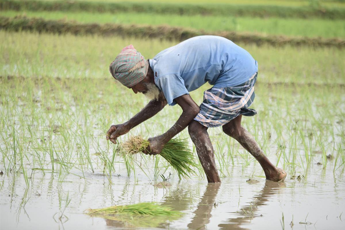 UN Coordinates Policy Responses to Global Food Crisis