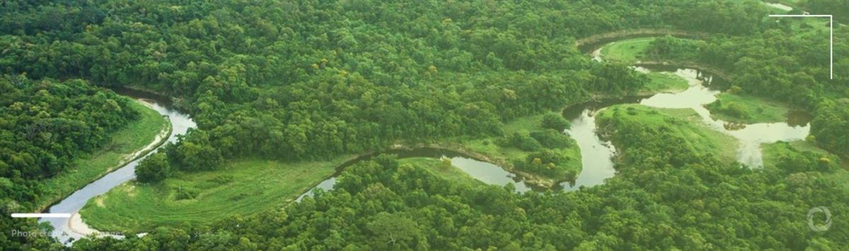 Preserving Amazon rainforest turns into thriving business in Brazil – a success story
