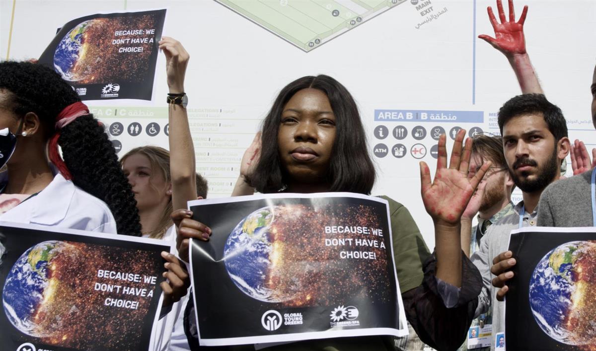 COP27: Diplomatic baby steps amid mounting humanitarian crises
