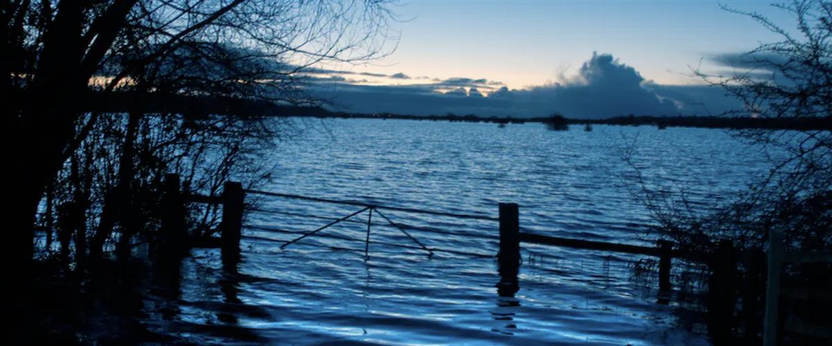 How poetry can help address the climate crisis