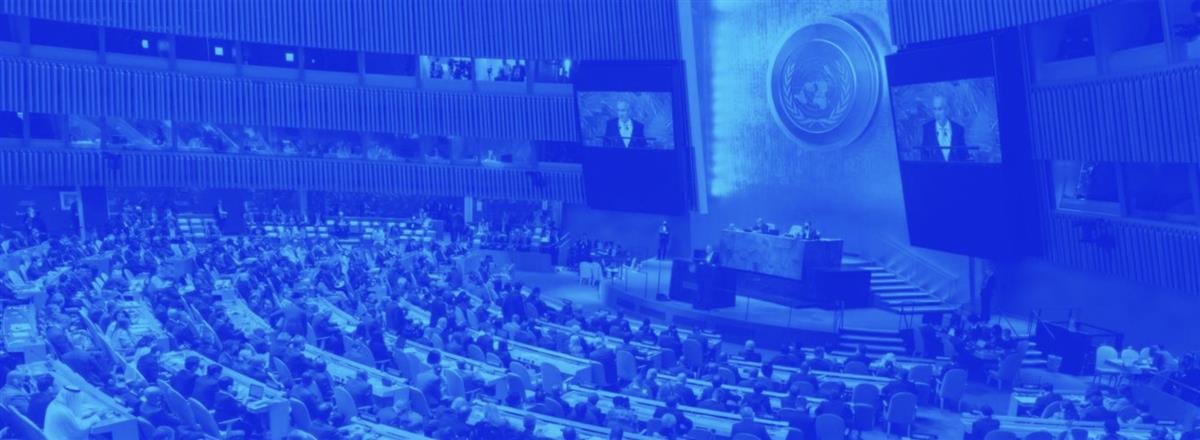 UNITED NATIONS - The Summit of the Future in 2024