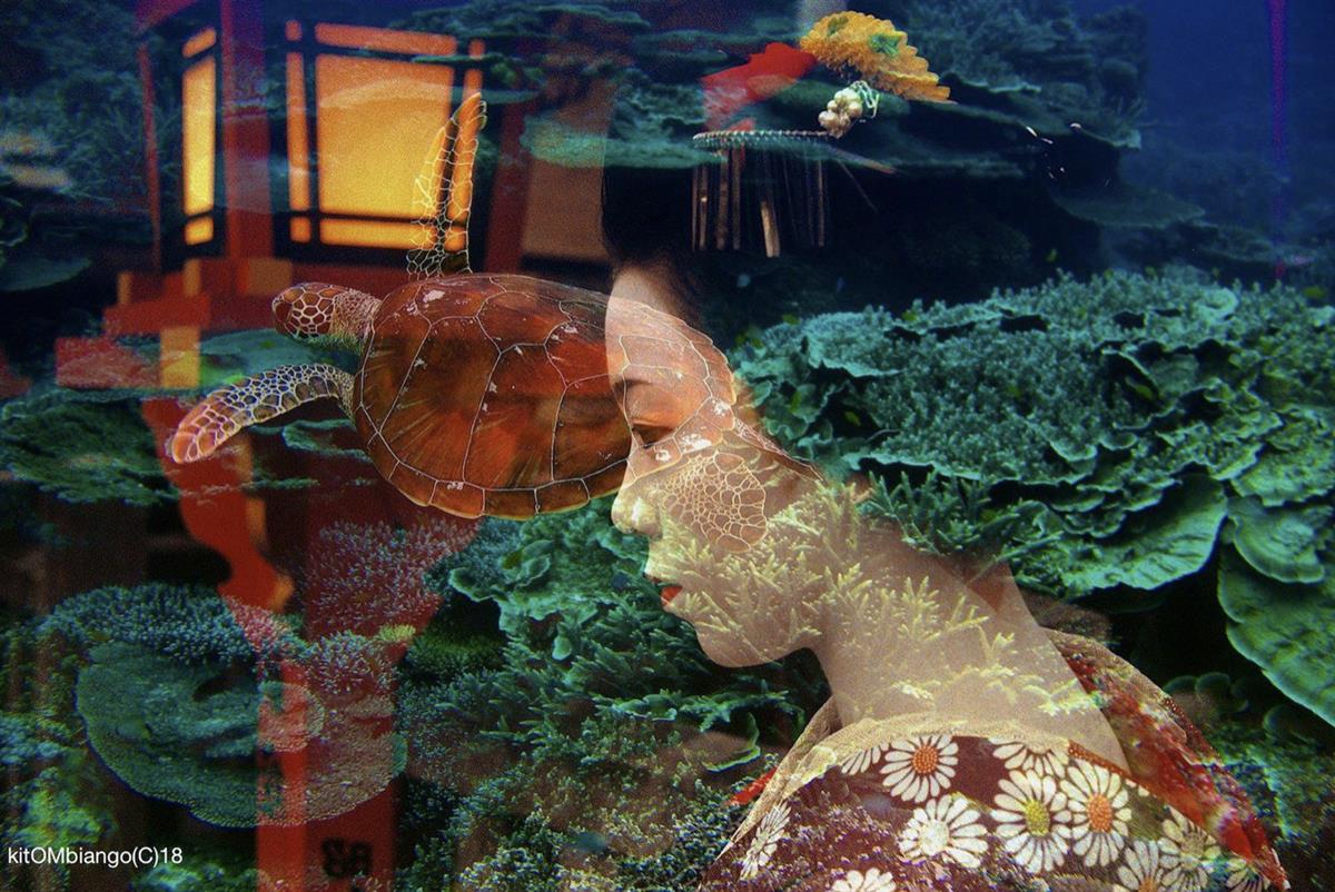 We are faced with a climate emergency. Can art help?