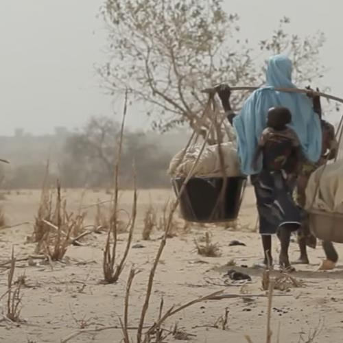 A Manifesto To Combat Global Heating - Environmental Justice Foundation