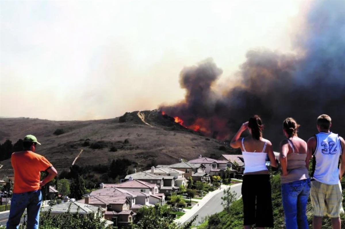 Climate change: Local solutions to a global crisis