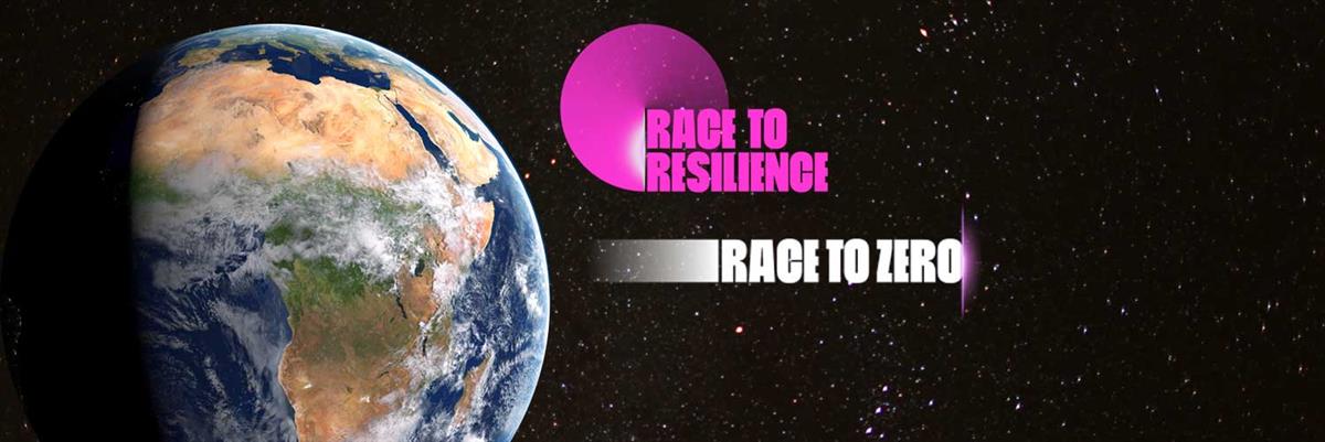 Over 150 Non-State Actors sign Call to Action calling for transformation of food systems