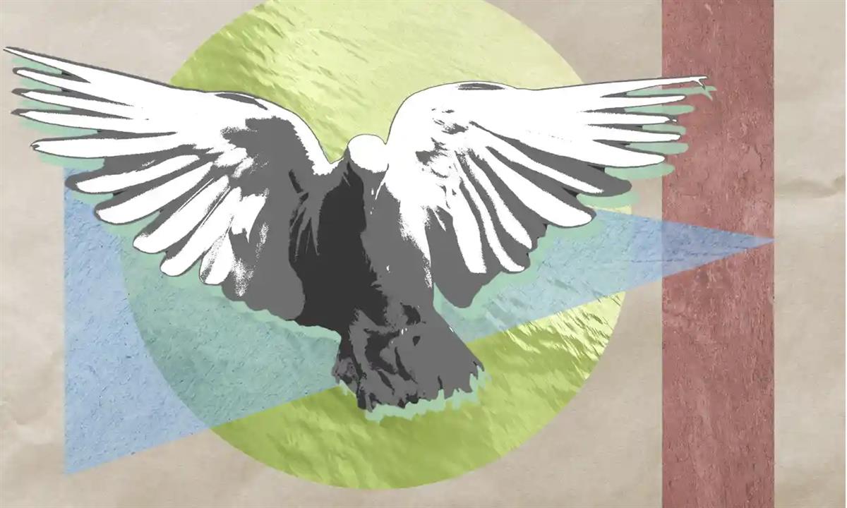 How do we bring about peace in a world of war and chaos?