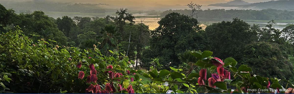 2024: A Four-pronged Quest to Rebuild Trust and Restore Hope