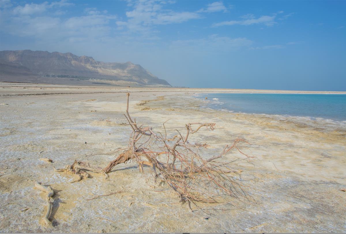 EcoPeace Middle East