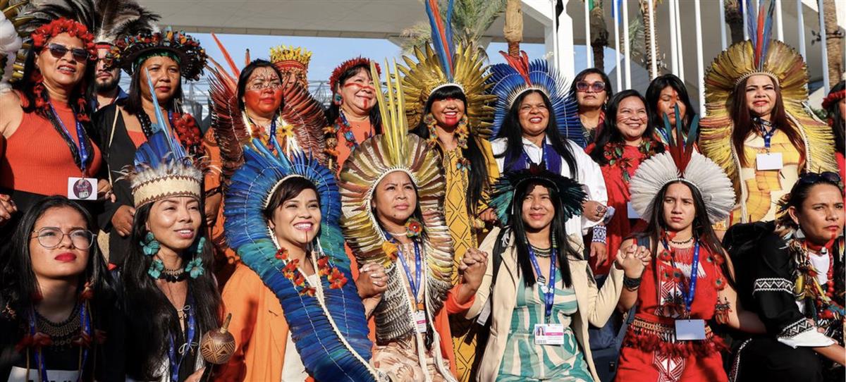 Transform landmark Indigenous rights declaration into reality: UN General Assembly President