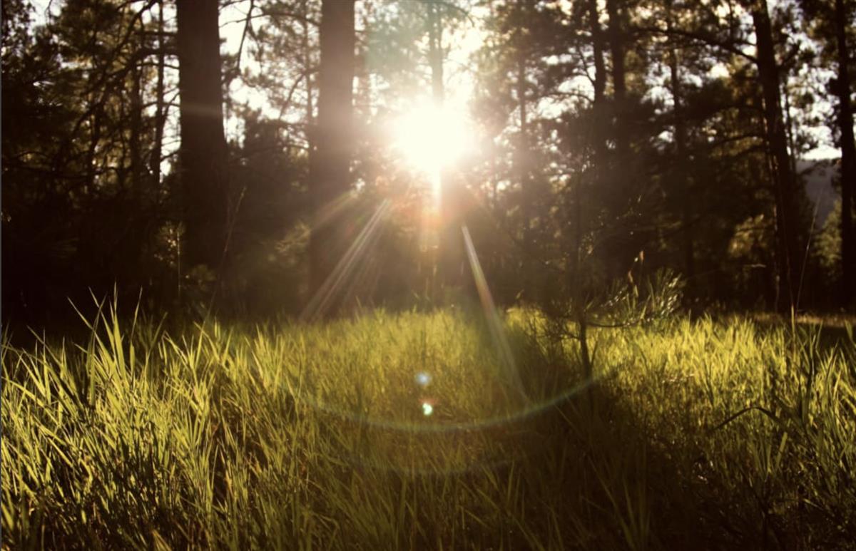 Featured Story: Philanthropy is adopting a new tool for impact: Futures thinking
