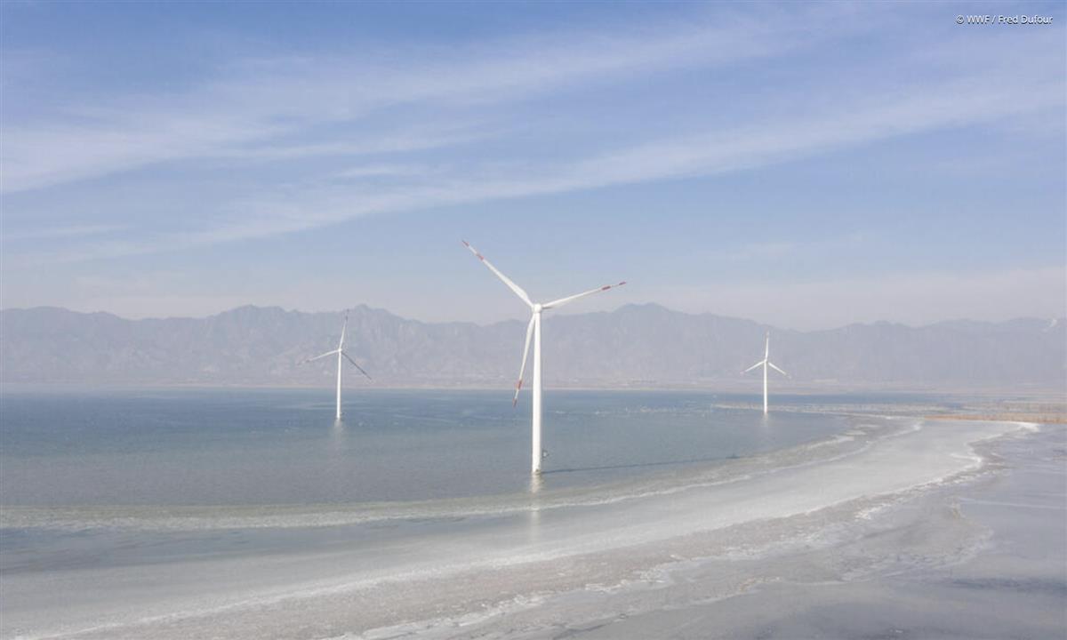 What to expect at COP29: Connecting the dots in Baku