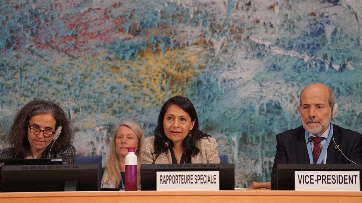 War, mining and disinformation threaten fundamental right to healthy environment