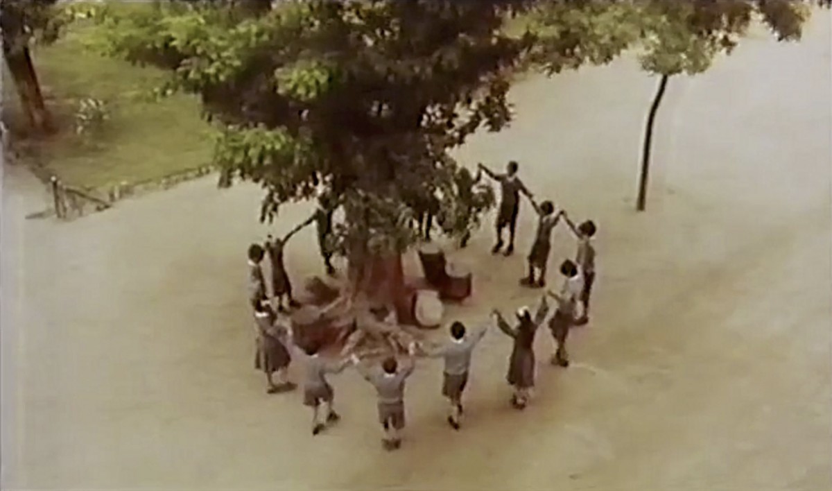 The Other Tree of Guernica - e-flux Education